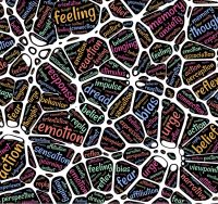 neurons with words for emotions